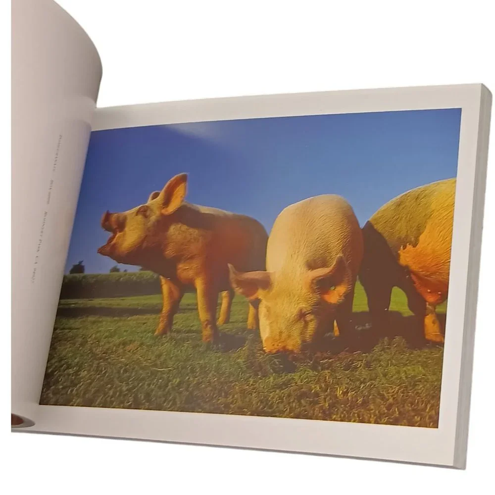 Pigs Book Of Postcards Set Of Two 21 and 30 Postscards Vintage Ephemera